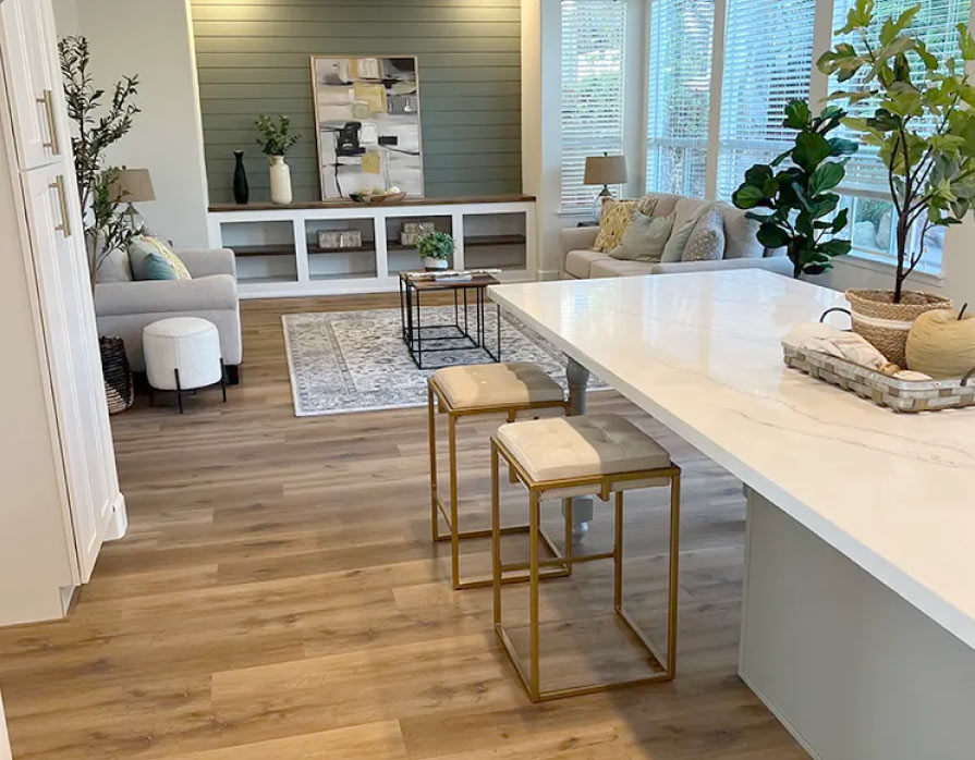 Open concept living Sacramento