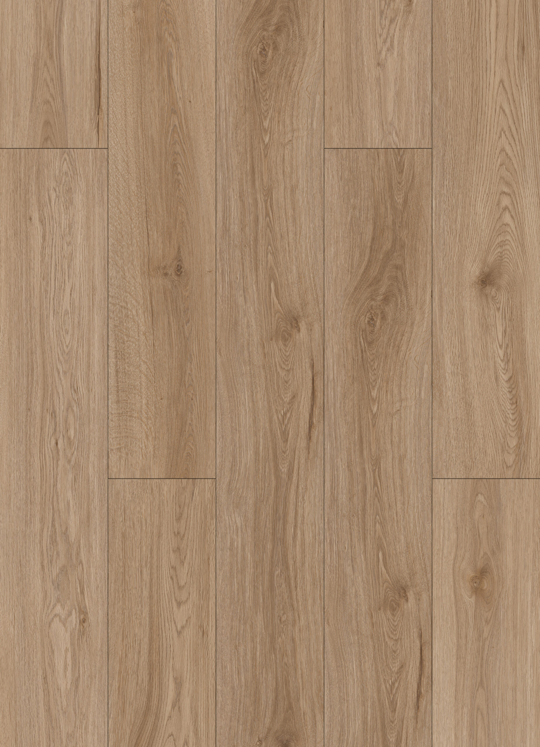 Maple texture