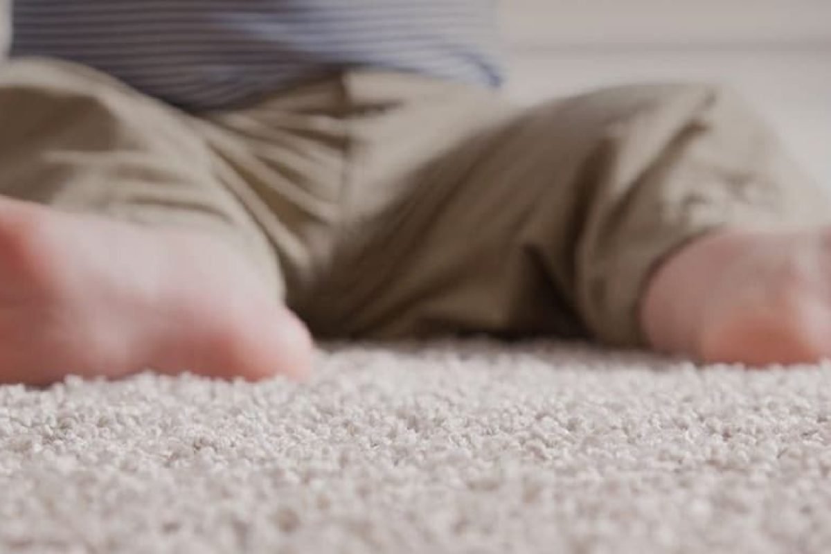 Carpet-1600x520-1